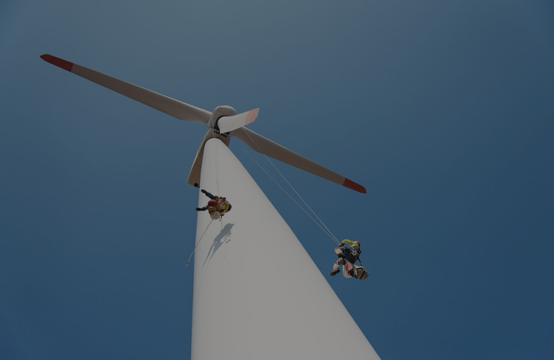 enerzee-image